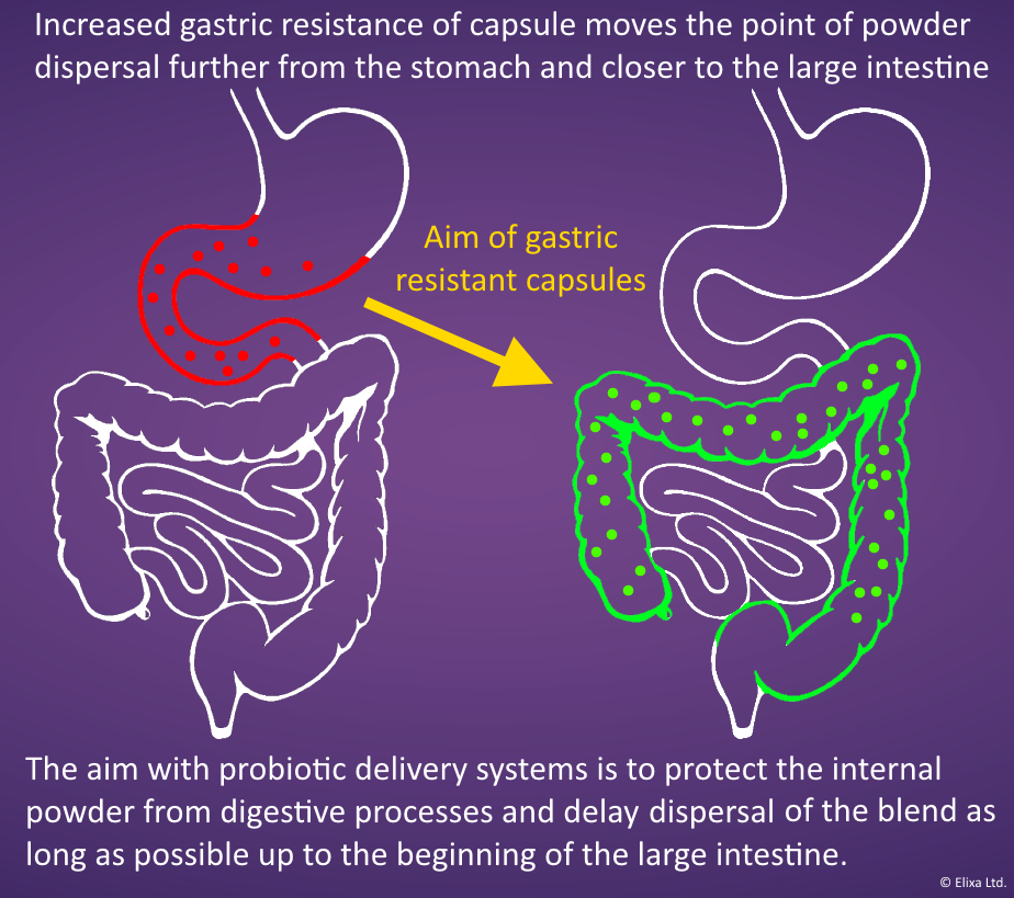 Gastric Resistance