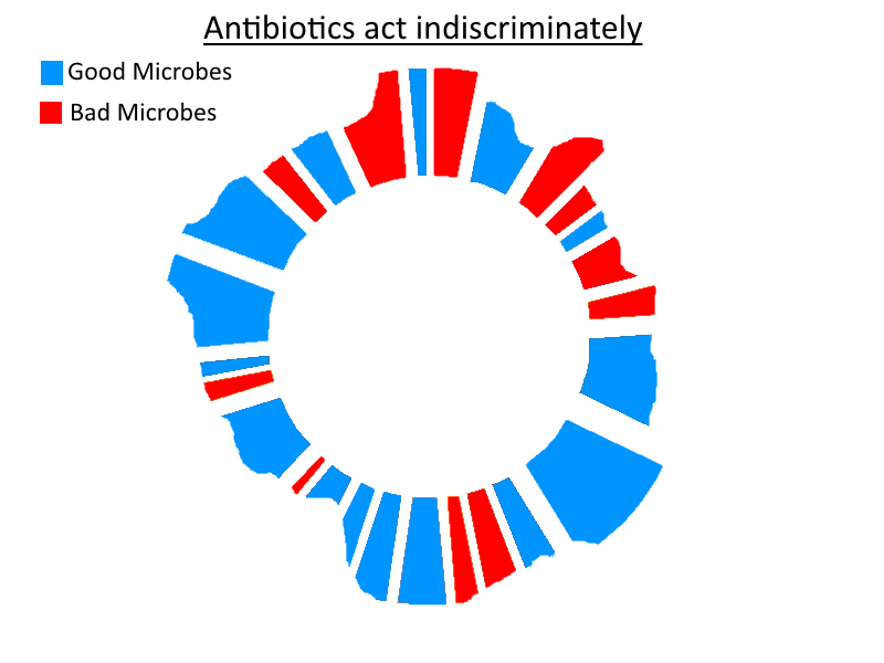 Indiscriminate Antibiotics